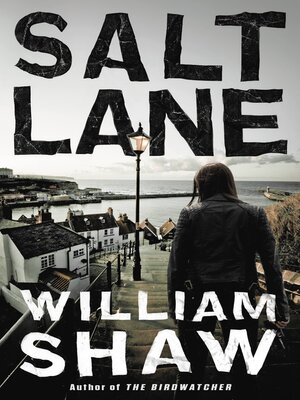 Salt Lane - ebook